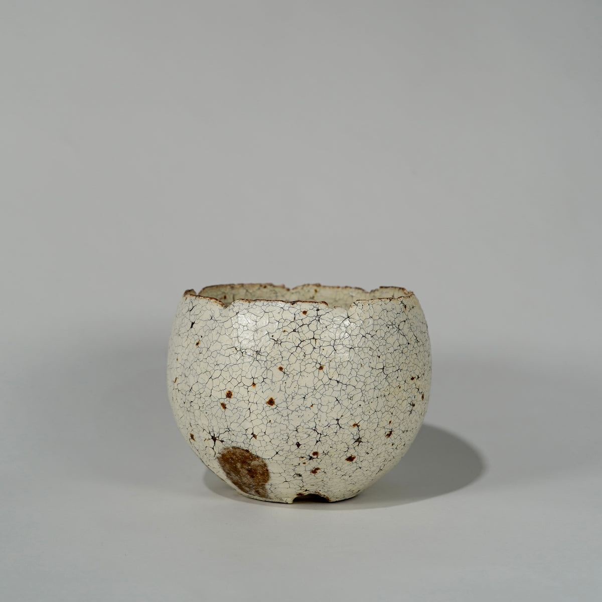 GOUJIN × BOTANIZE 〝胡麻粉引〟 --bowl--