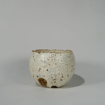 GOUJIN × BOTANIZE 〝胡麻粉引〟 --bowl--