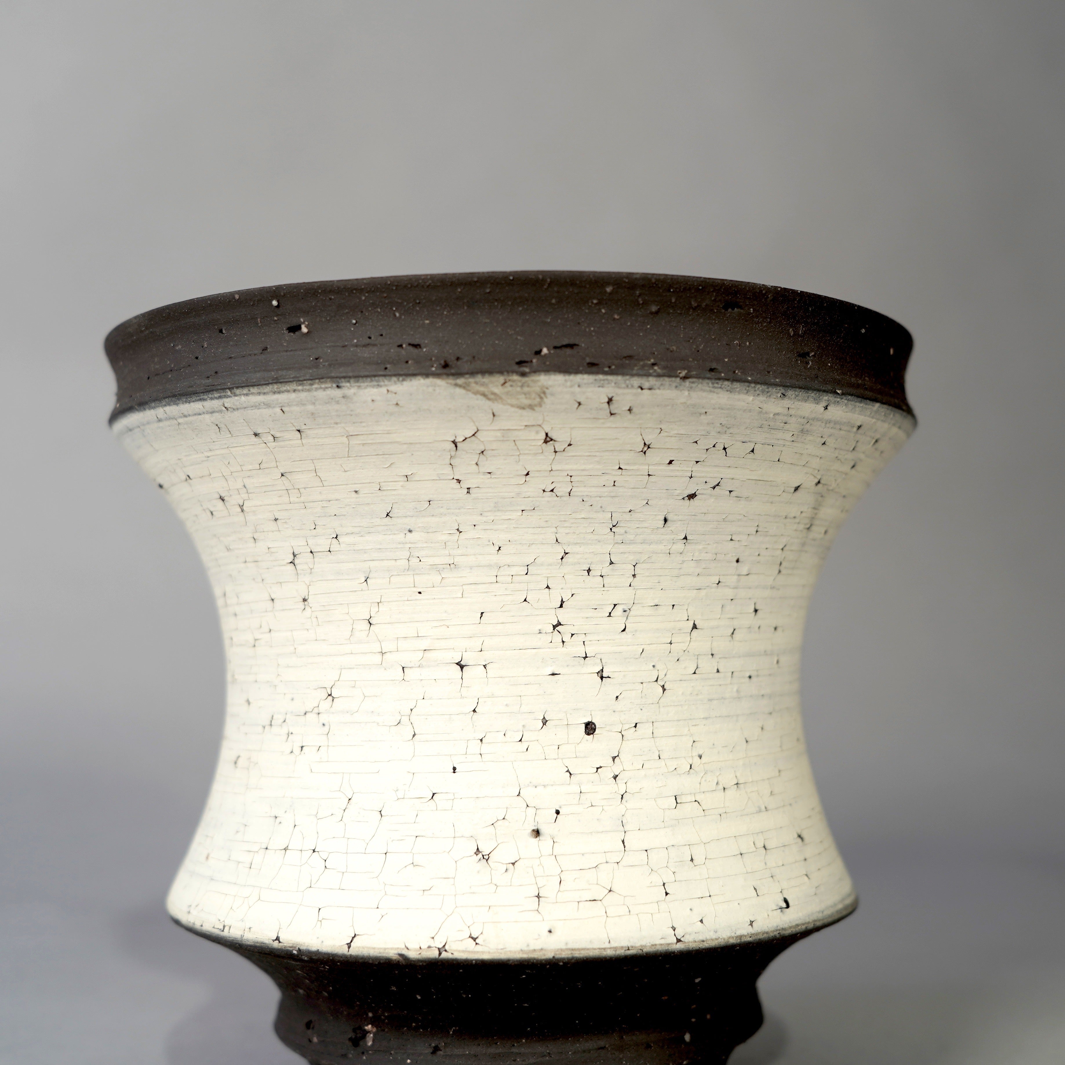 GOUJIN × BOTANIZE --SEN a--